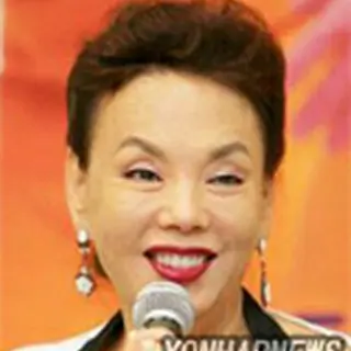Kim Su Mi