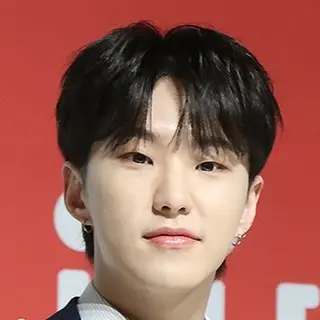 HOSHI（SEVENTEEN）